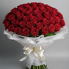 Букет 101 Красная роза Блэк Мэджик в Электроуглях