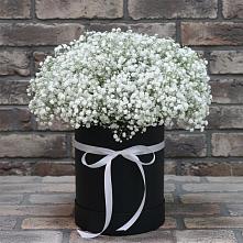 Цветочная композиция из Гипсофила в шляпной коробке в Электроуглях