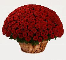 Премиум букет из: Розы в Электроуглях